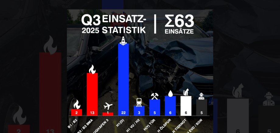 Einsatzstatistik 2025